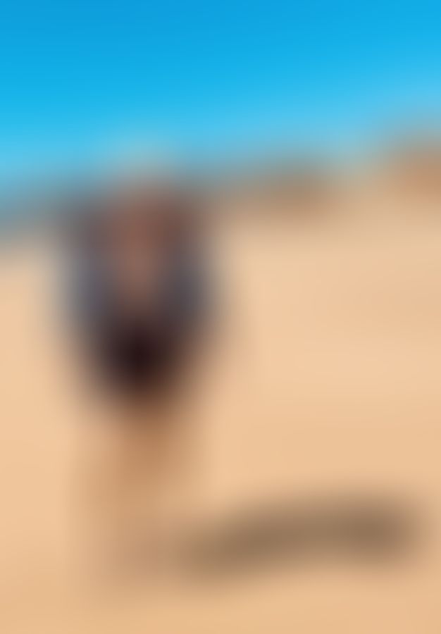 Yusuf1174, Homme, 37 ans, Onhaye (3)